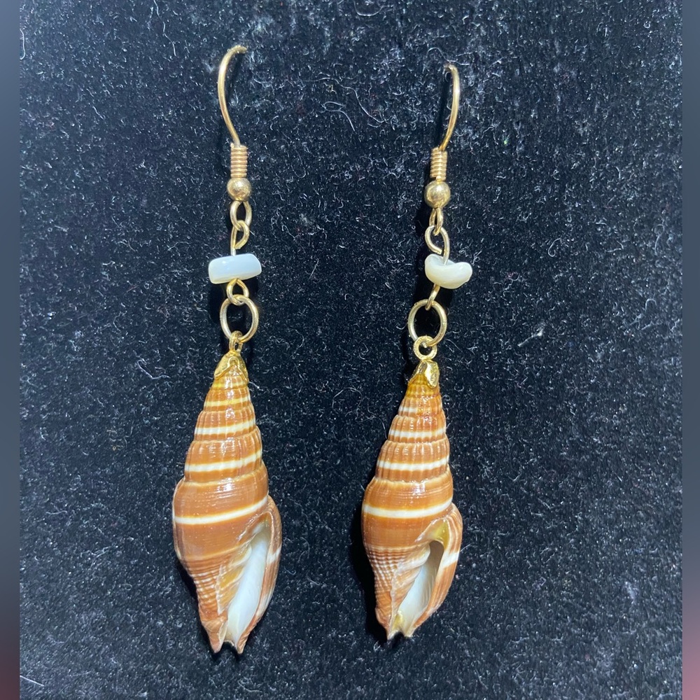 Boho Real Auger Sea Shell Dangle Earrings Natural Spiral Shell